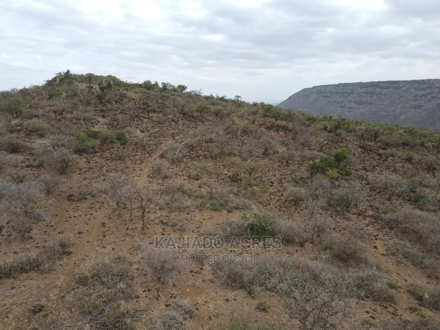 45-Acre Cliff Property in Ilkilorit - Buy Per Acre for an Excellent Deal in Ewaso Kendong