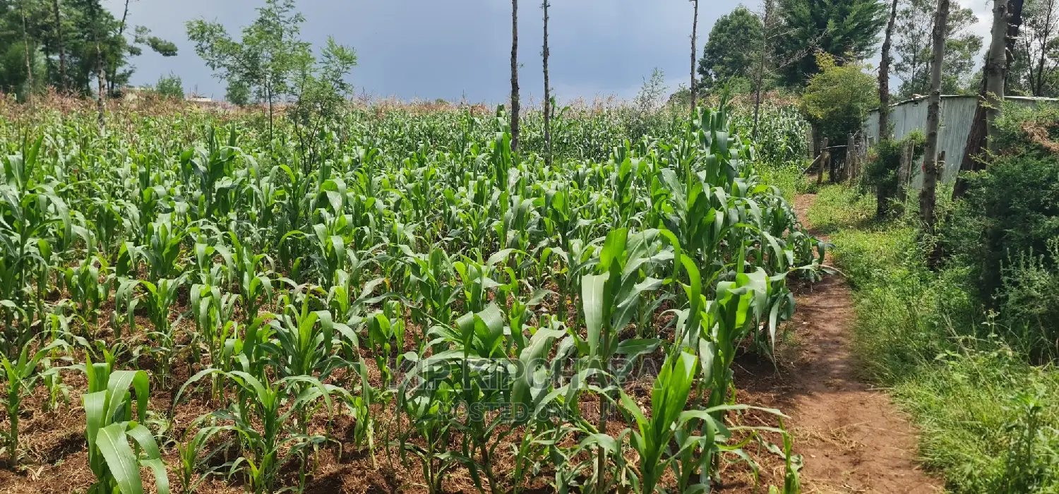 Invest in Commercial Property in Annex Eldoret - Grow Your Business in Racecourse