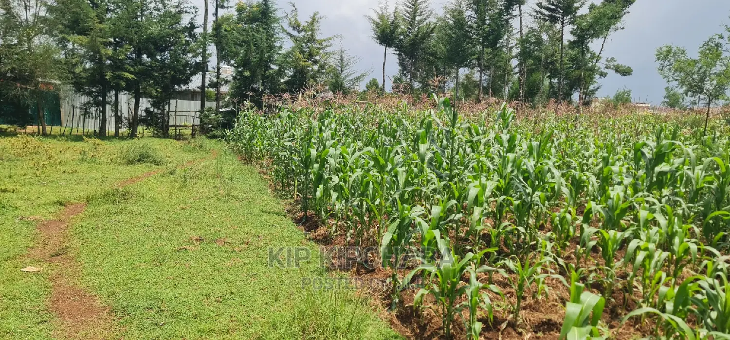 Invest in Commercial Property in Annex Eldoret - Grow Your Business in Racecourse