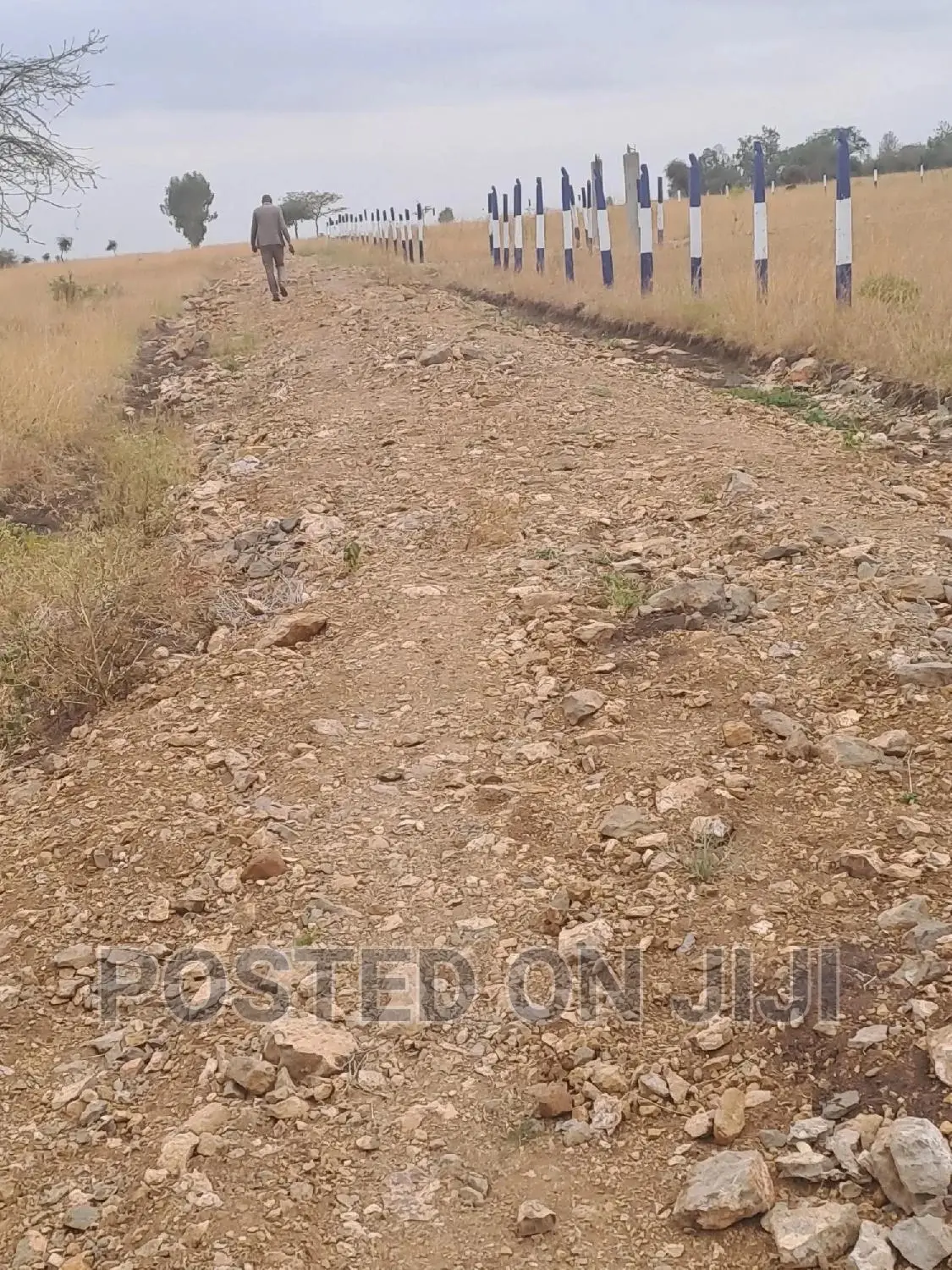 Barizi Gardens Kamulu At 1M.Mw^ in Kamulu