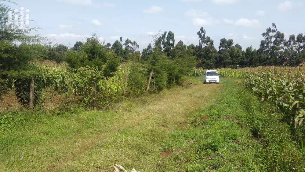 Limuru's Mutarakwa Area: Affordable Residential Plots for Sale in Kikuyu
