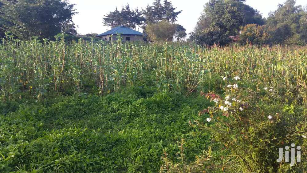 Limuru's Mutarakwa Area: Affordable Residential Plots for Sale in Kikuyu