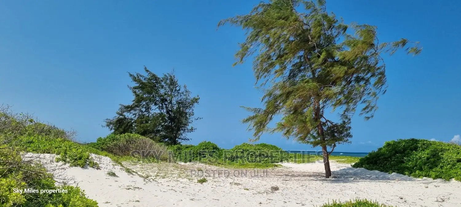 50 Acre Beachfront Property: Stunning Oceanfront Opportunity in Kilifi Town