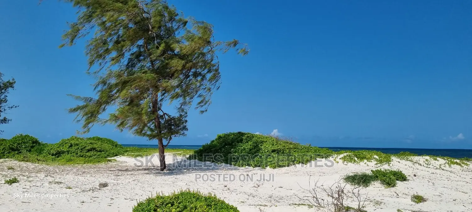 50 Acre Beachfront Property: Stunning Oceanfront Opportunity in Kilifi Town