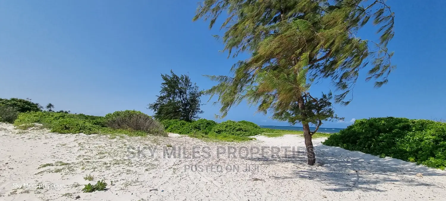 50 Acre Beachfront Property: Stunning Oceanfront Opportunity in Kilifi Town