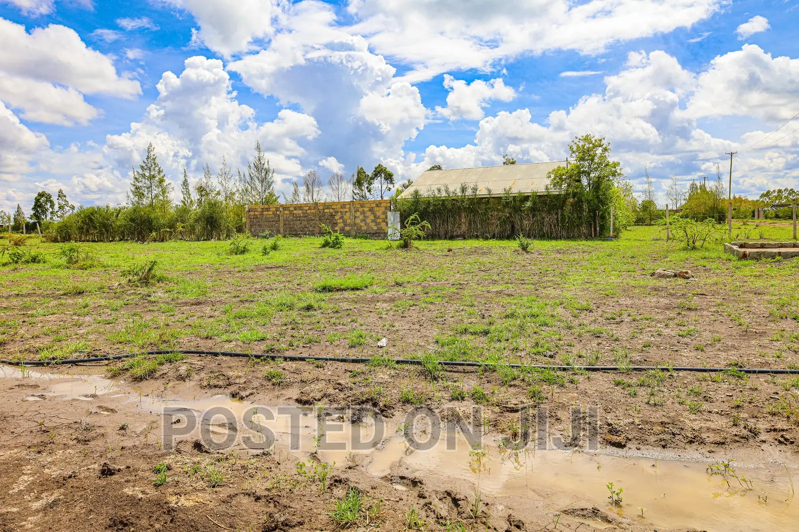 Unveil Juja's Hidden Oasis - Oasis Gardens in Kalimoni