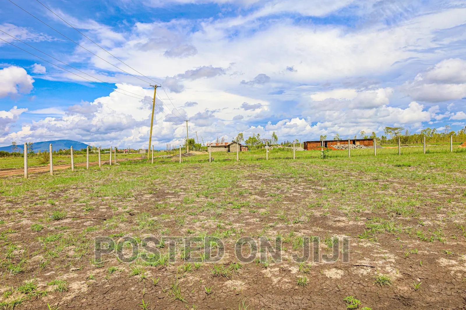 Unveil Juja's Hidden Oasis - Oasis Gardens in Kalimoni
