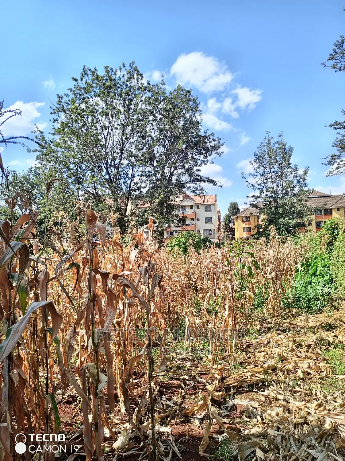 Prime Thindigua Land - 0.75ac Plot for Sale - Invest Today in Kiambu / Kiambu