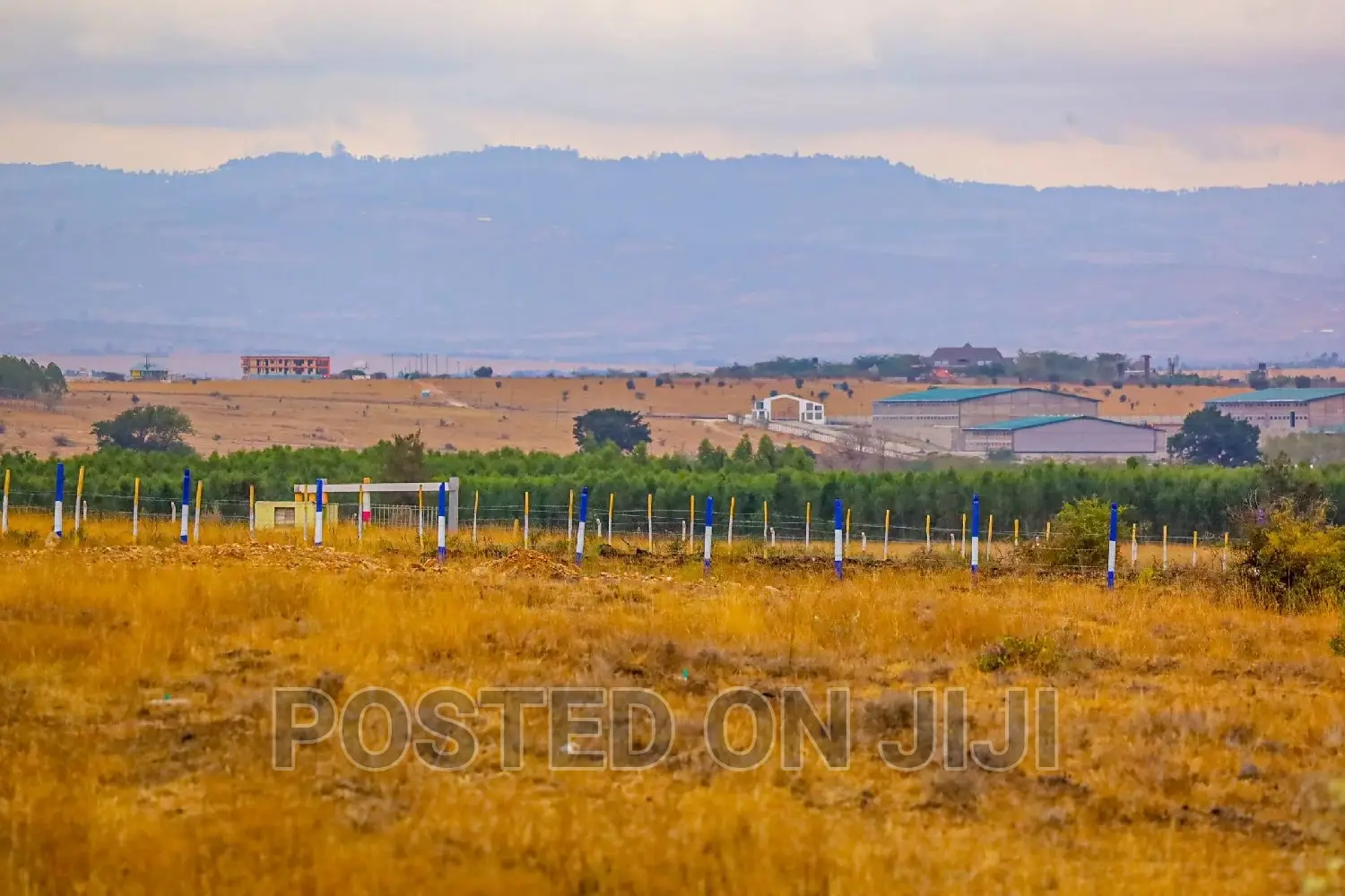 Affordable Real Estate in Kamulu - Katani Plots for Sale in Kamulu