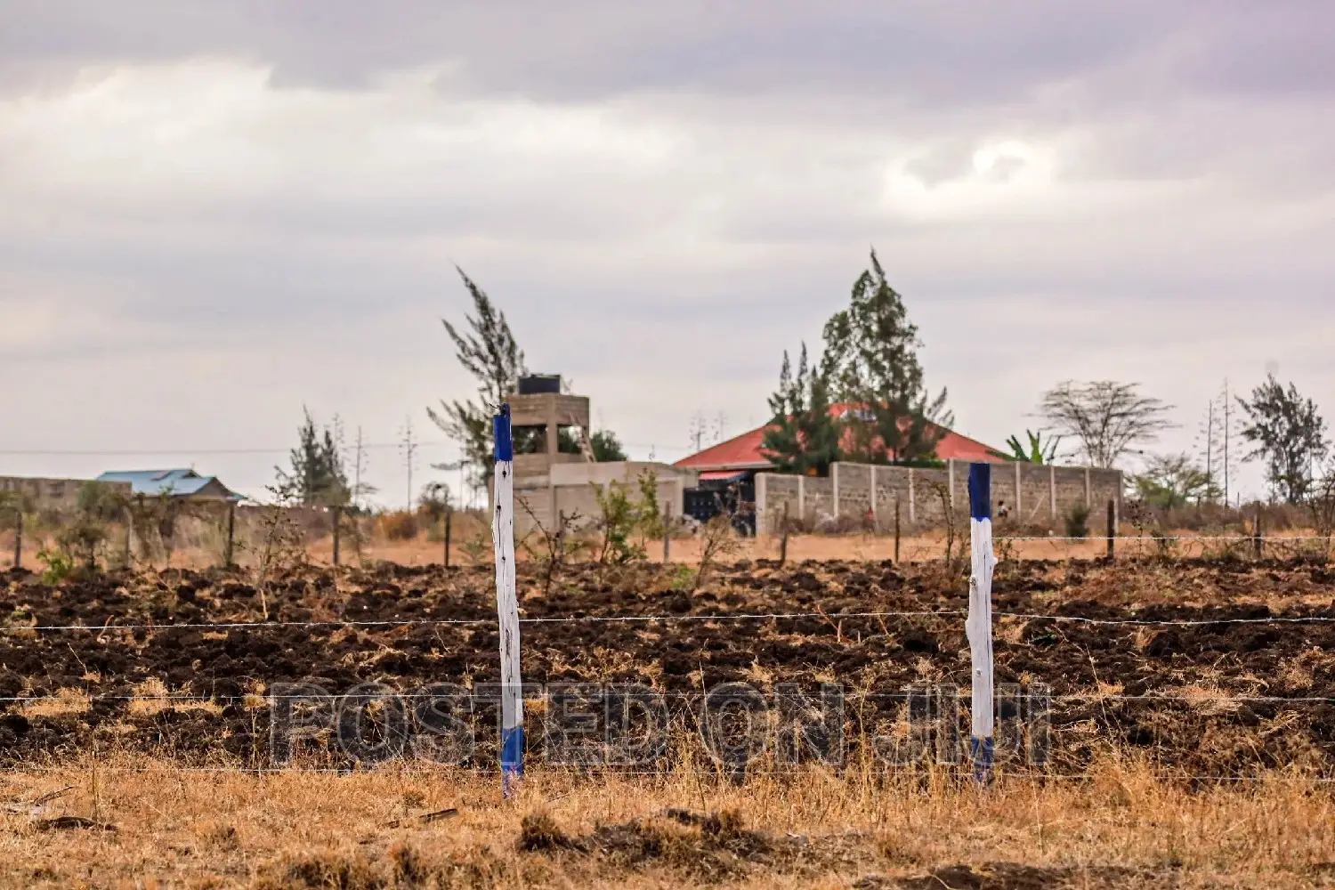 Hot Kamulu Prime Plots^Jm in Kamulu
