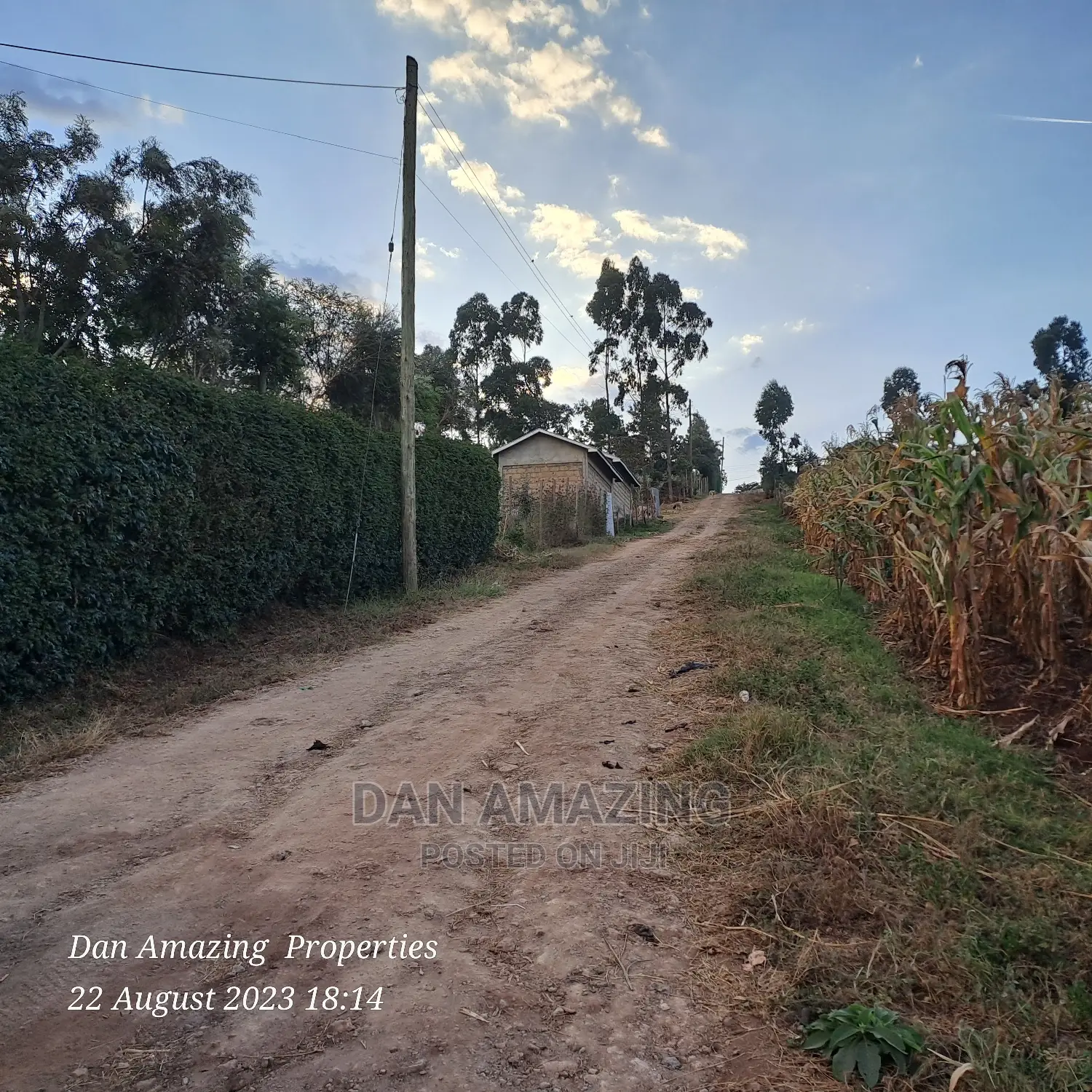 1/8 Acre Plot in Ngong - Close to Tarmac - Perfect for Development in Ngong CBD