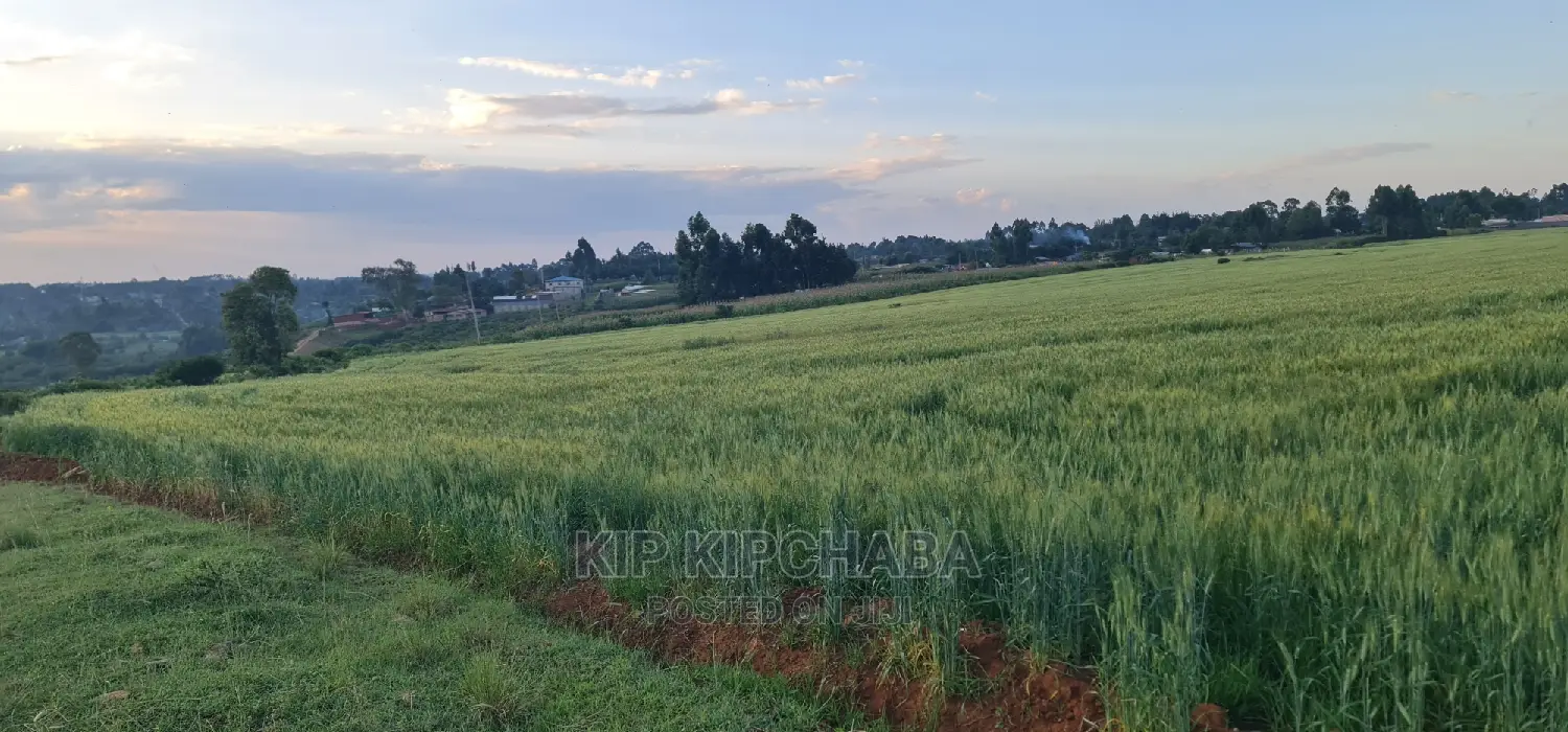 Prime 3-Acre Property for Sale in Eldoret's Moiben Junction Sergoit in Moiben