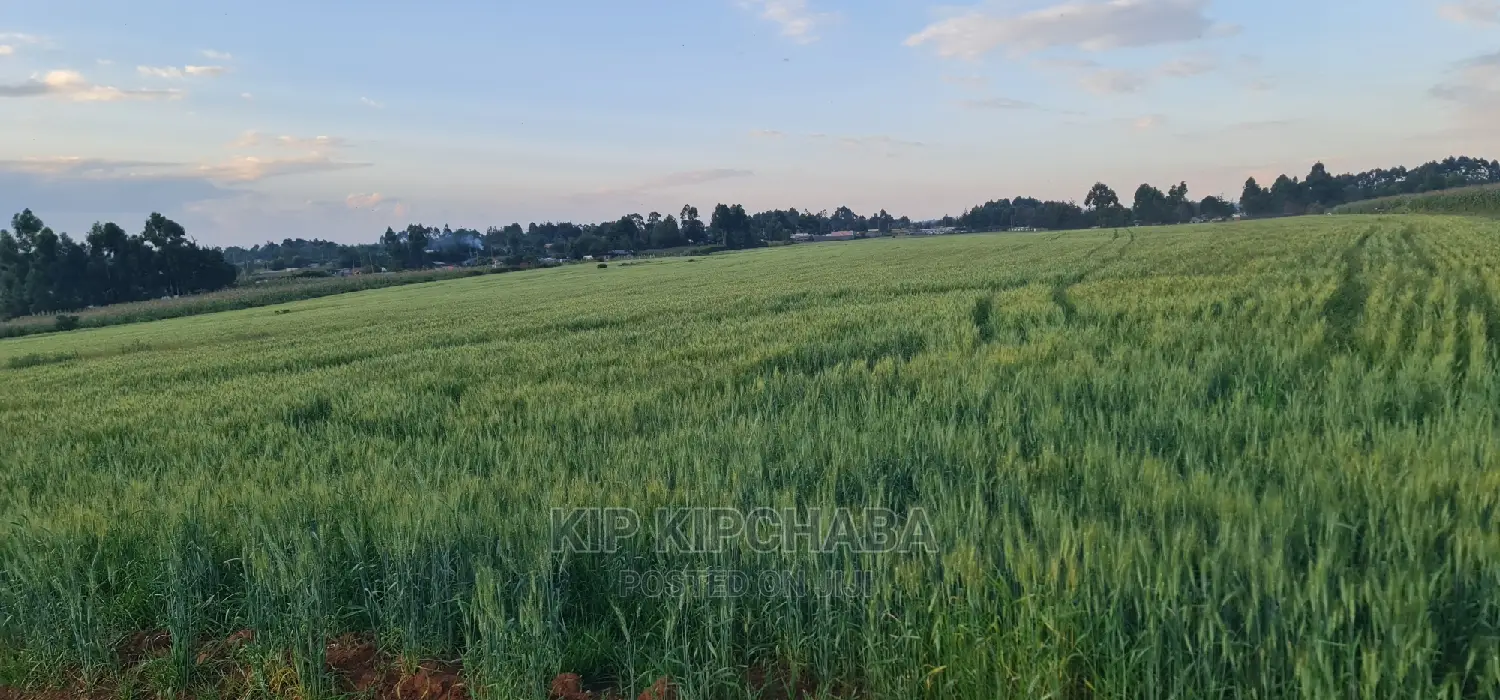 Prime 3-Acre Property for Sale in Eldoret's Moiben Junction Sergoit in Moiben