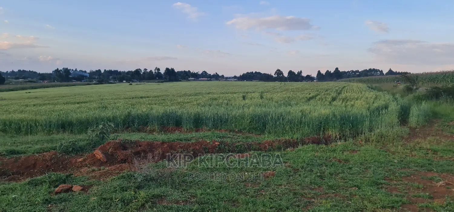 Prime 3-Acre Property for Sale in Eldoret's Moiben Junction Sergoit in Moiben