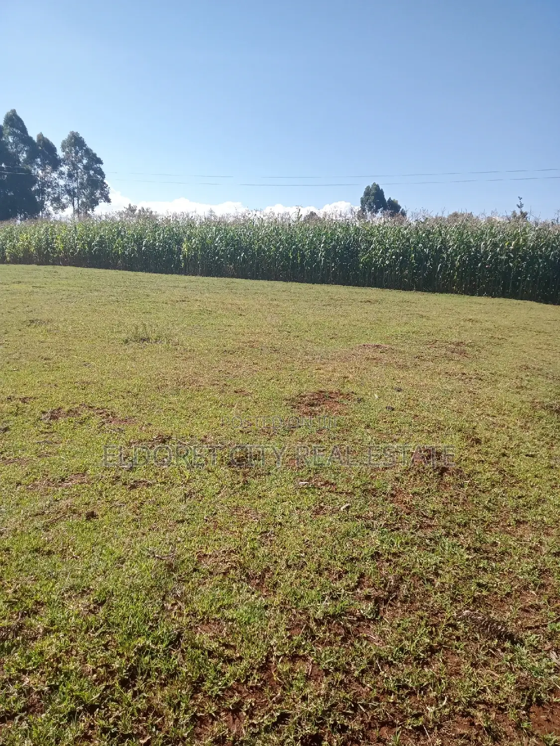 Half-Acre Plot in Kaplelach After Kilombe for Purchase in Eldoret CBD