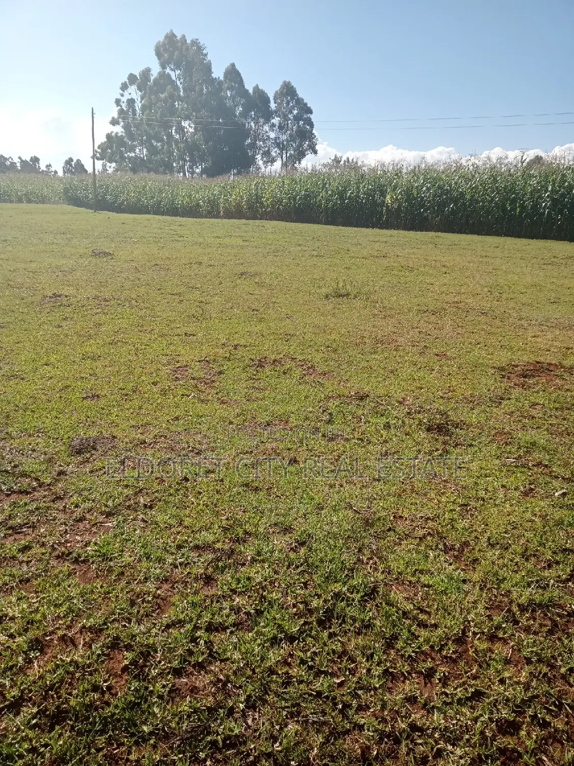 Half-Acre Plot in Kaplelach After Kilombe for Purchase in Eldoret CBD