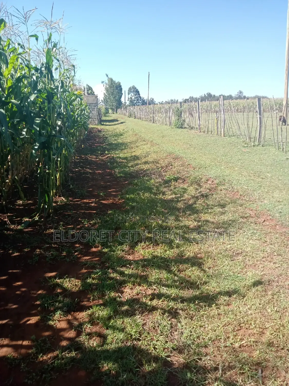 Half-Acre Plot in Kaplelach After Kilombe for Purchase in Eldoret CBD