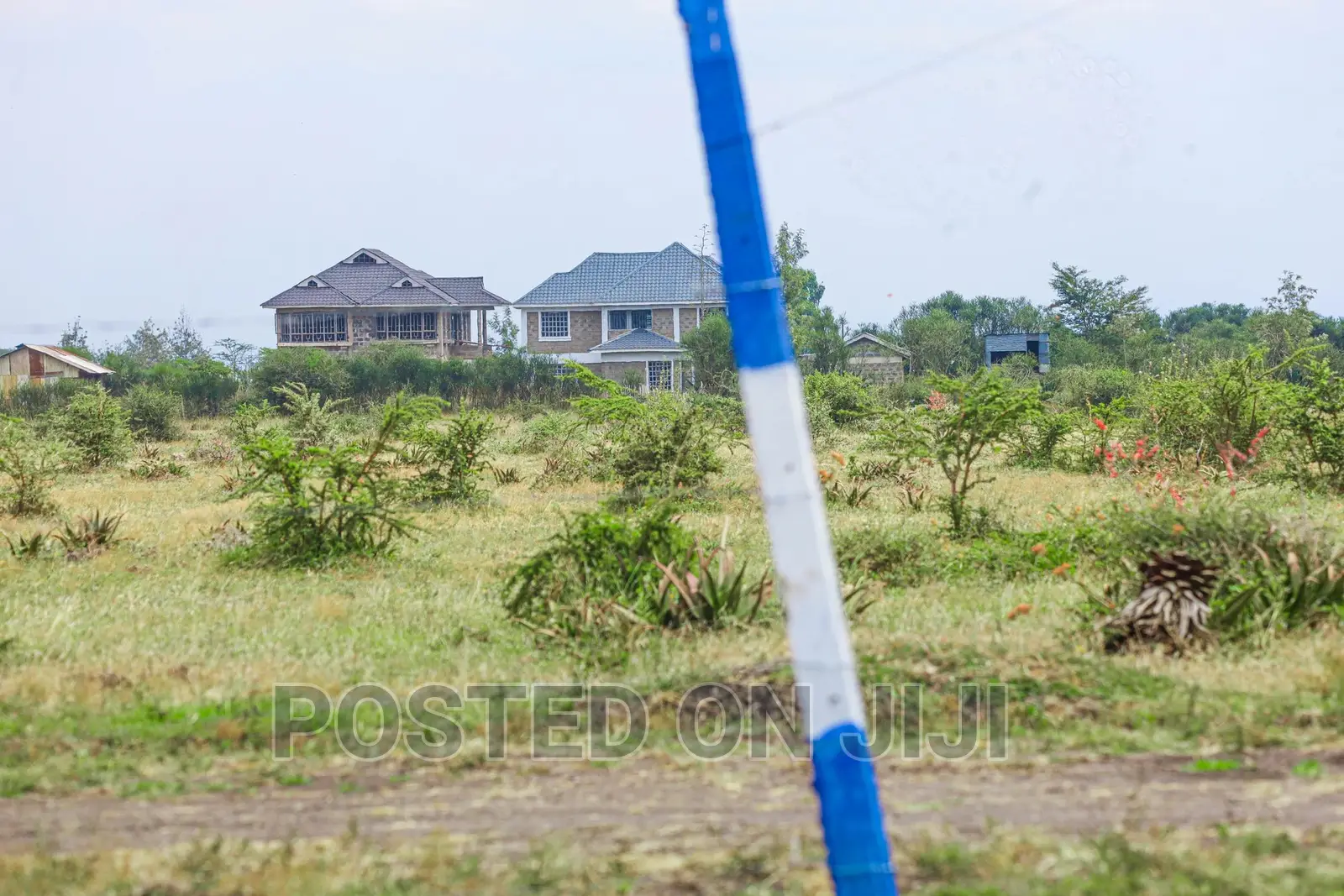 Prime Plots in Kamakis Area^Ek in Kamakis