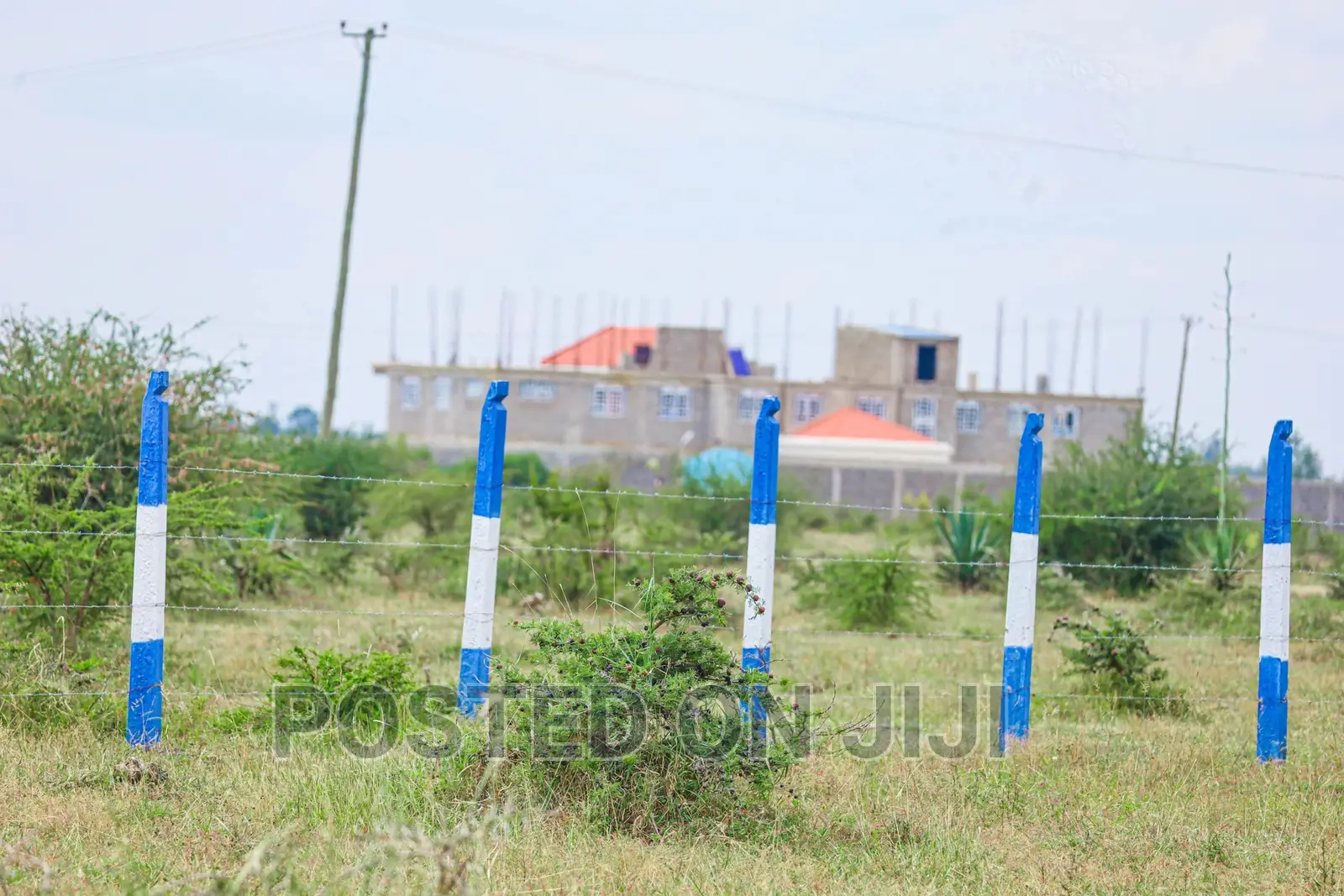 Prime Plots in Kamakis Area^Ek in Kamakis