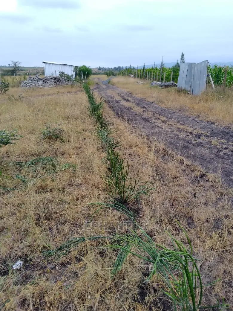 Discover 50x100 Plots in Makuyu - Property Investment! in Ruiru