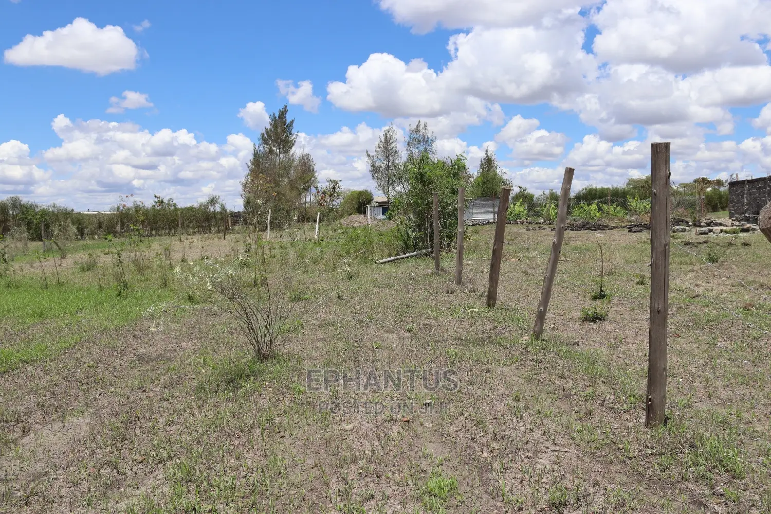 Discover 50x100 Plots in Makuyu - Property Investment! in Ruiru