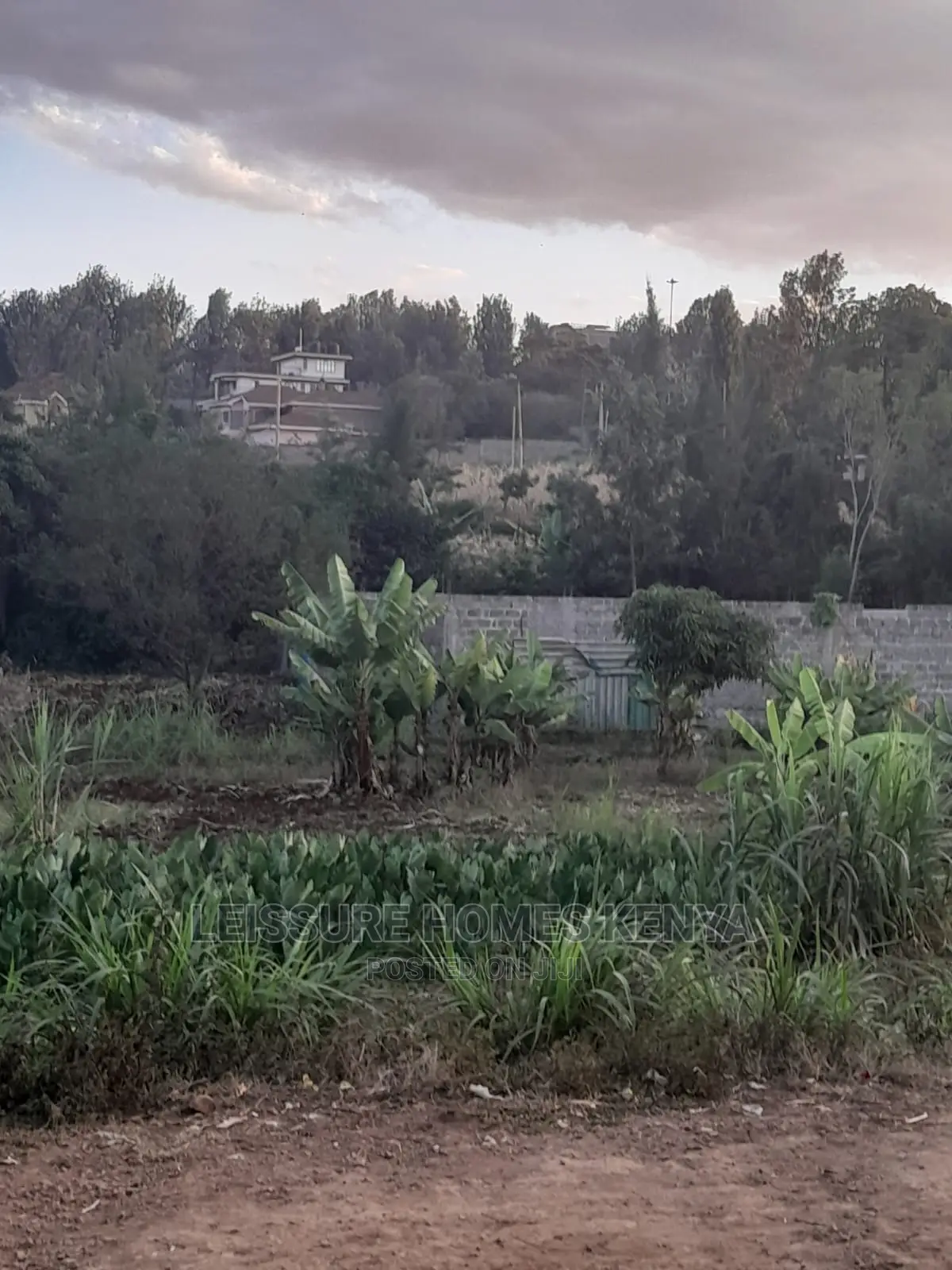 Spacious 50x100ft Residential Plot - Your Next Dream Home Awaits in Thome