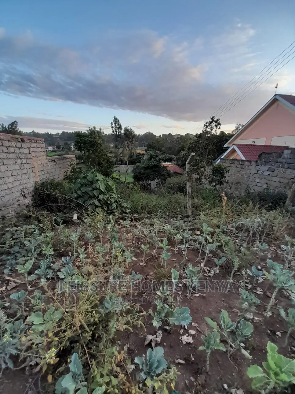 Spacious 50x100ft Residential Plot - Your Next Dream Home Awaits in Thome