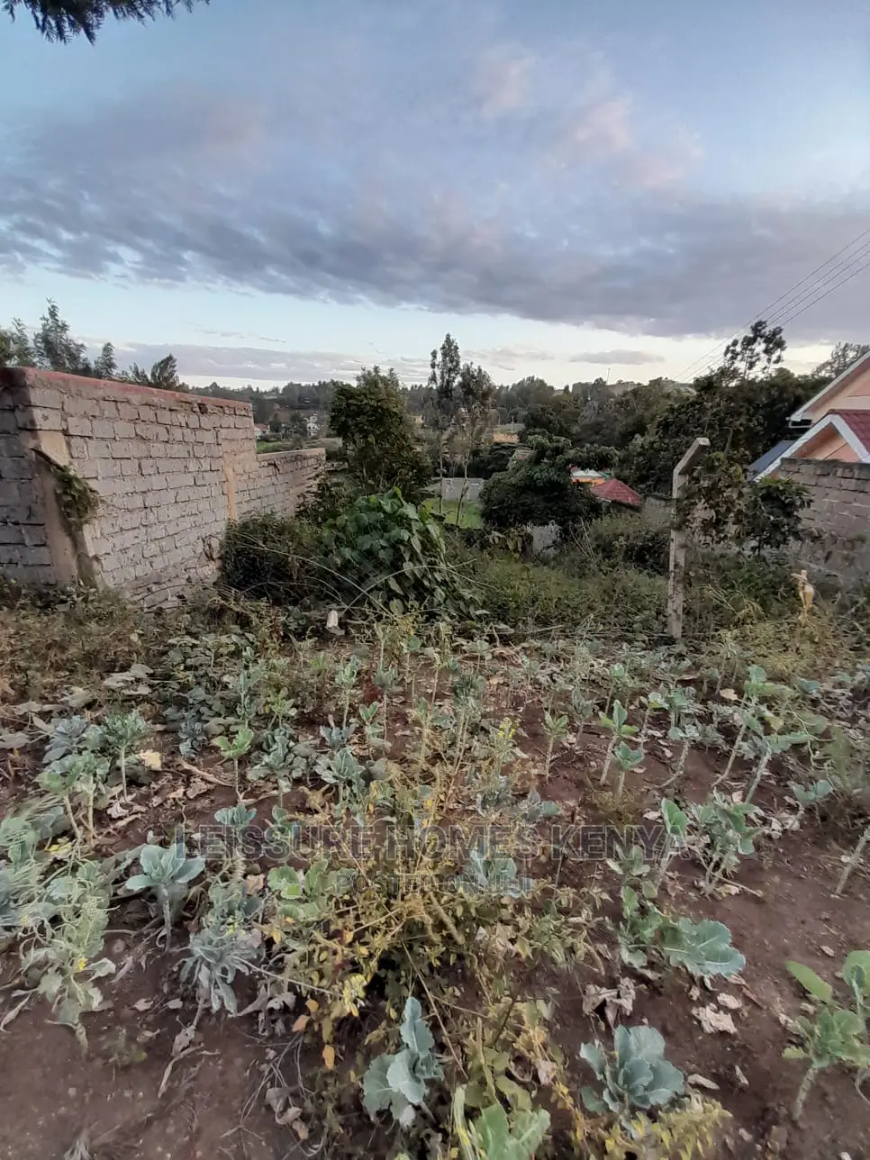 Spacious 50x100ft Residential Plot - Your Next Dream Home Awaits in Thome