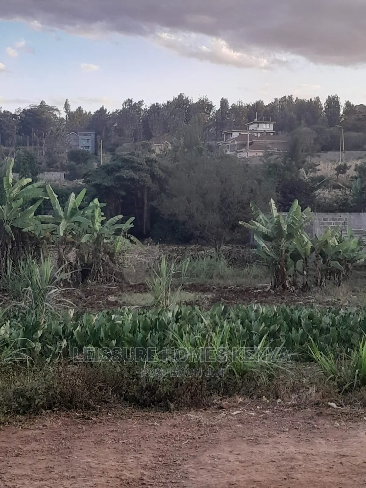 Spacious 50x100ft Residential Plot - Your Next Dream Home Awaits in Thome