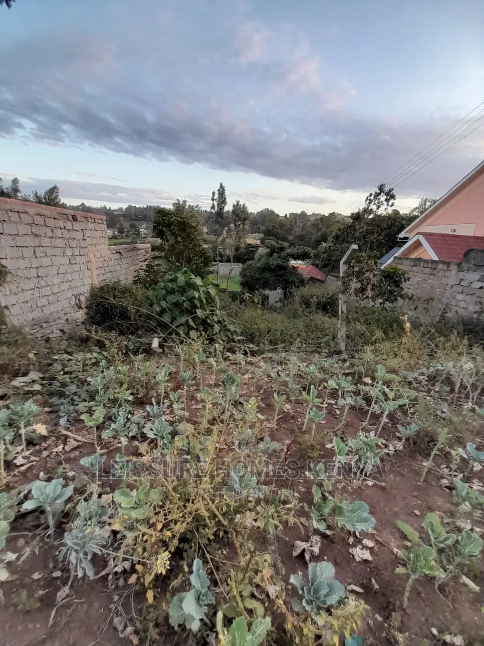 Ideal 50 by 100 Residential Plot for Purchase in Thome