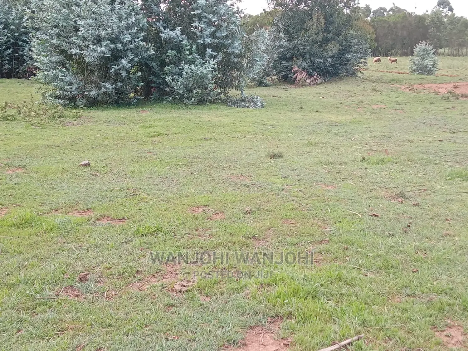 Nyandarua County: Jewel Plots for Sale Today in Nakuru Town East
