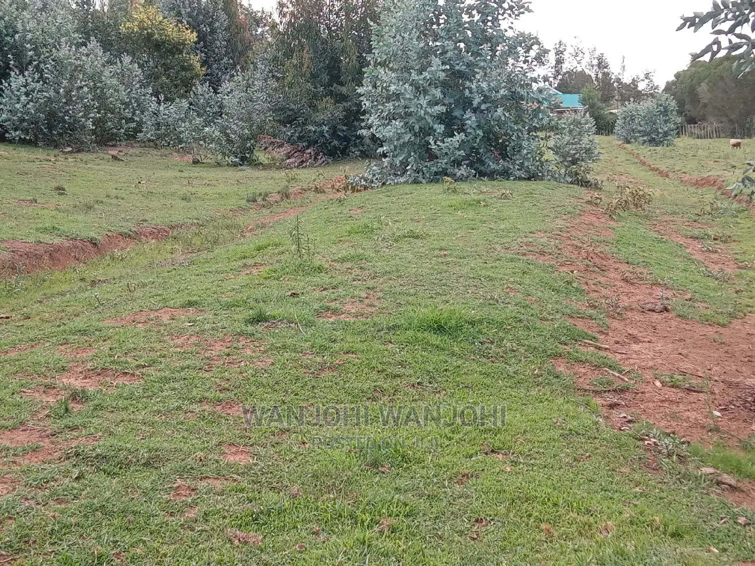 Nyandarua County: Jewel Plots for Sale Today in Nakuru Town East