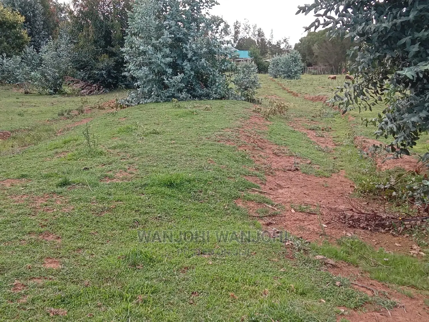 Nyandarua County: Jewel Plots for Sale Today in Nakuru Town East