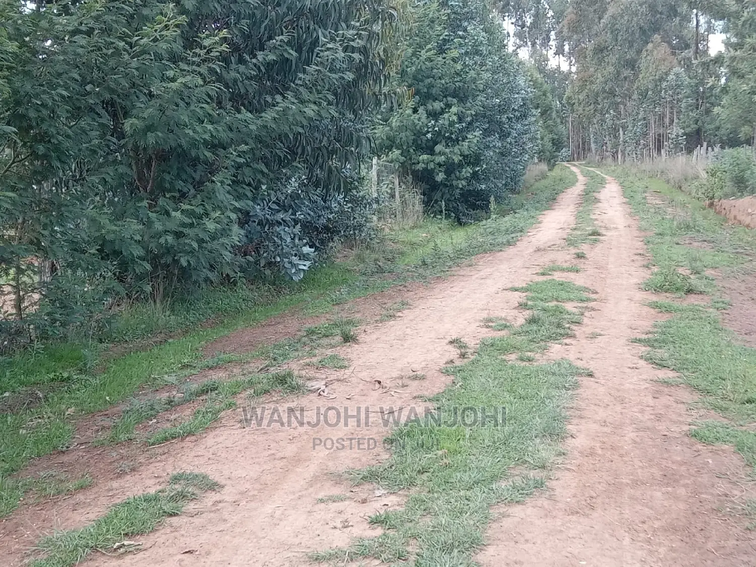 Serene 50x100 Land Plots - Limited Quantity in Gatimu