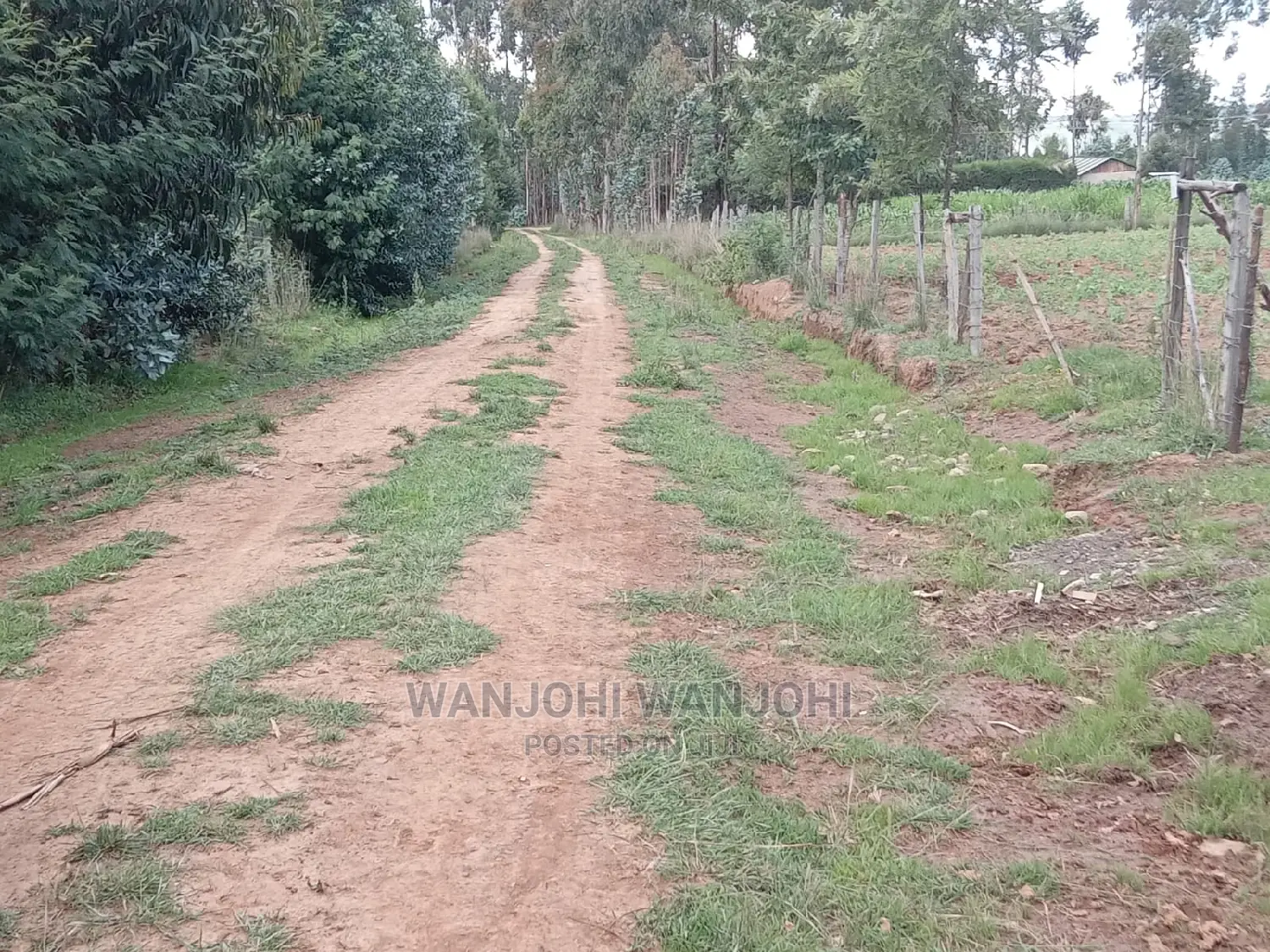 Serene 50x100 Land Plots - Limited Quantity in Gatimu