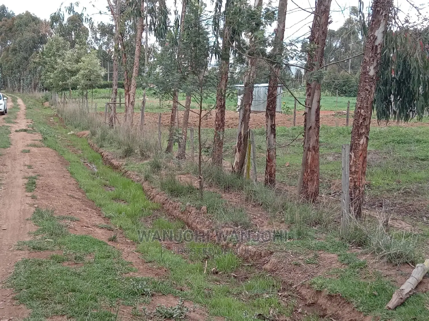 Serene 50x100 Land Plots - Limited Quantity in Gatimu
