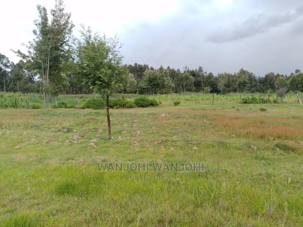 Exclusive Nyandarua County Land Plots - Your Dream Land Awaits in Nyahururu