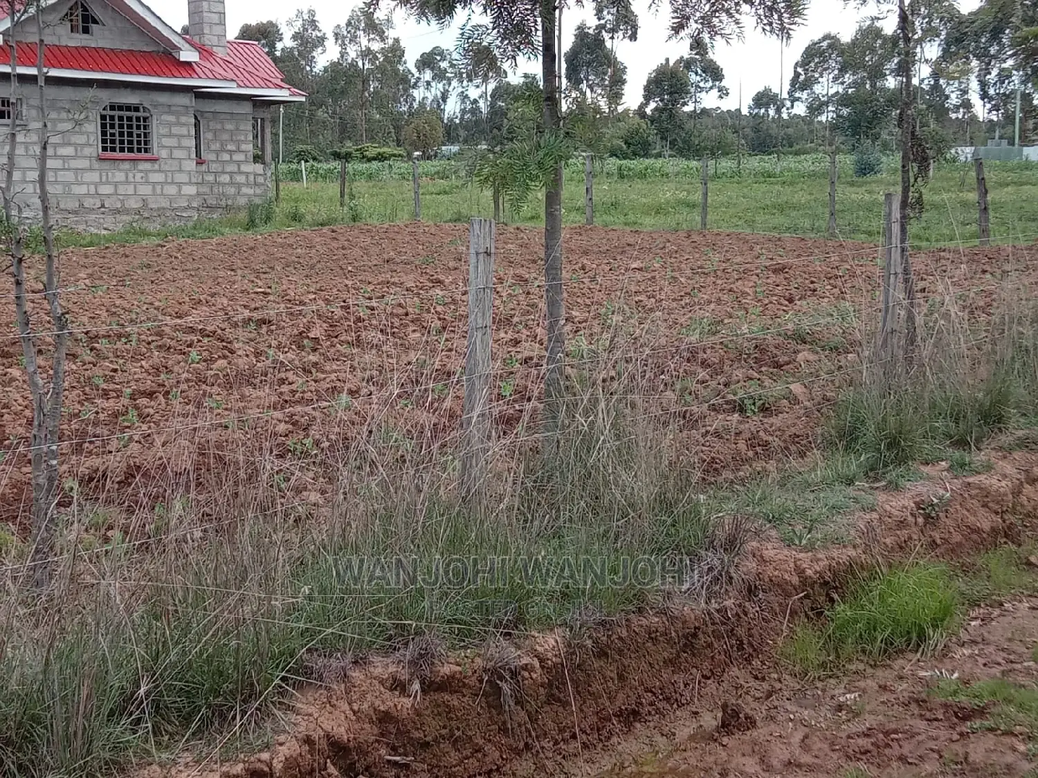 50x100 Serene Plots: Affordable and Ready to Build in Karau