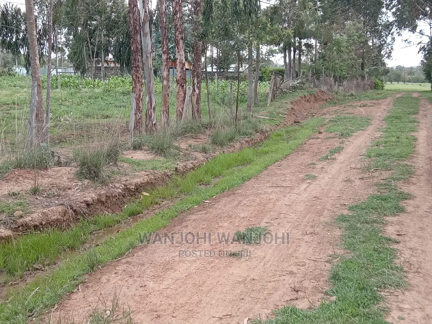 50x100 Serene Plots: Affordable and Ready to Build in Karau