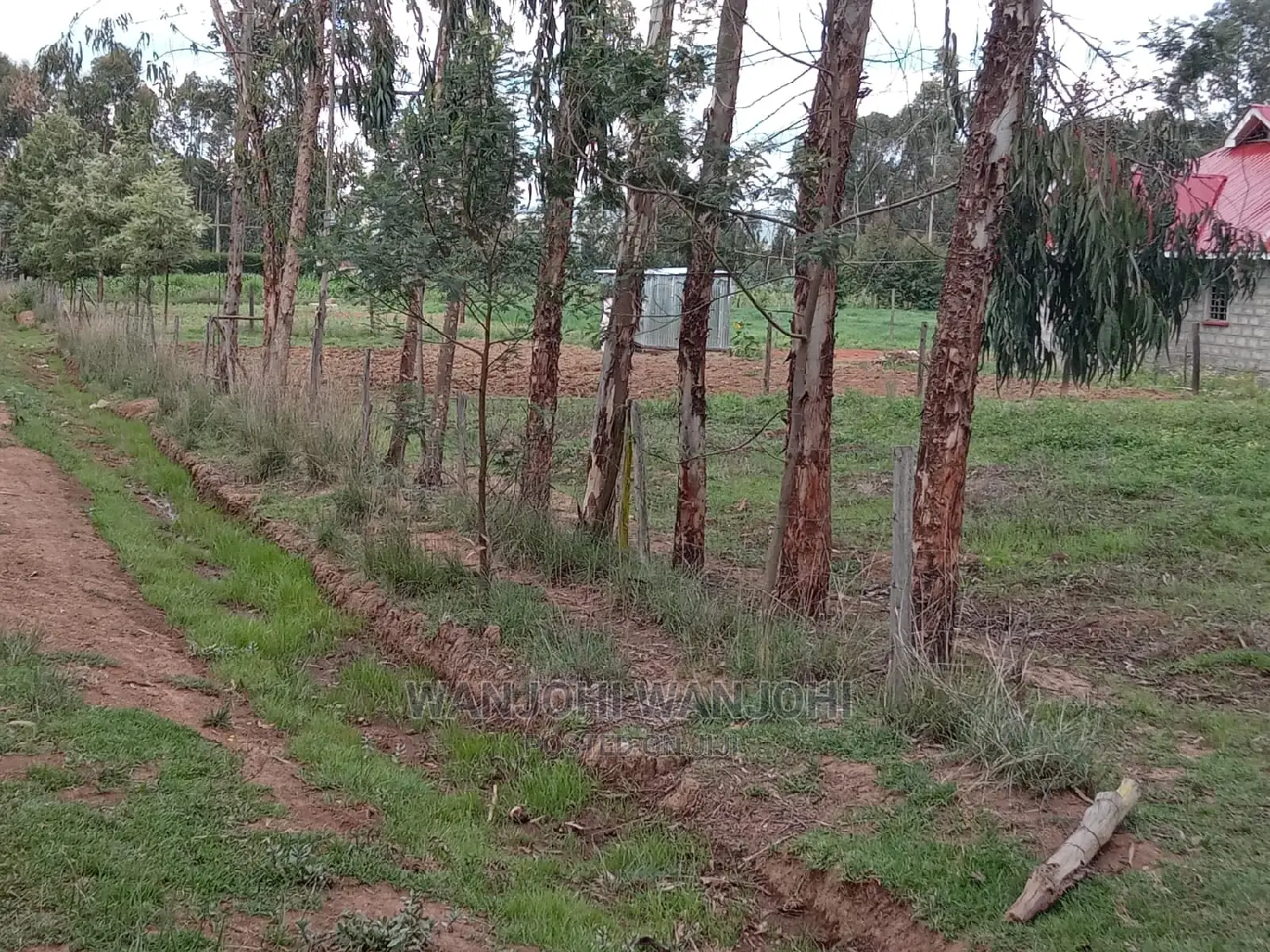 50x100 Serene Plots: Affordable and Ready to Build in Karau