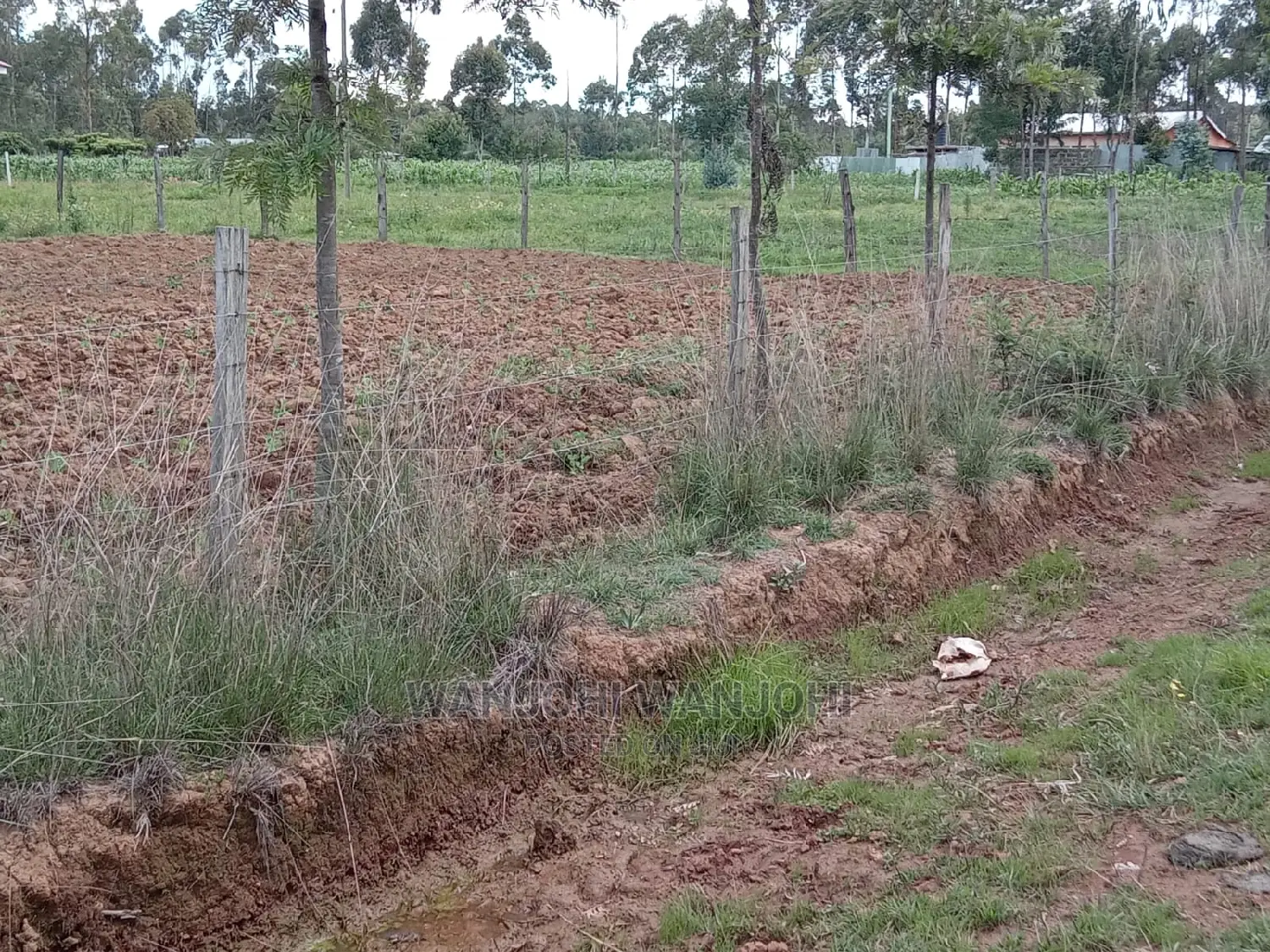 50x100 Plots in Serene Prime: High Demand, Limited Supply in Central Ndaragwa