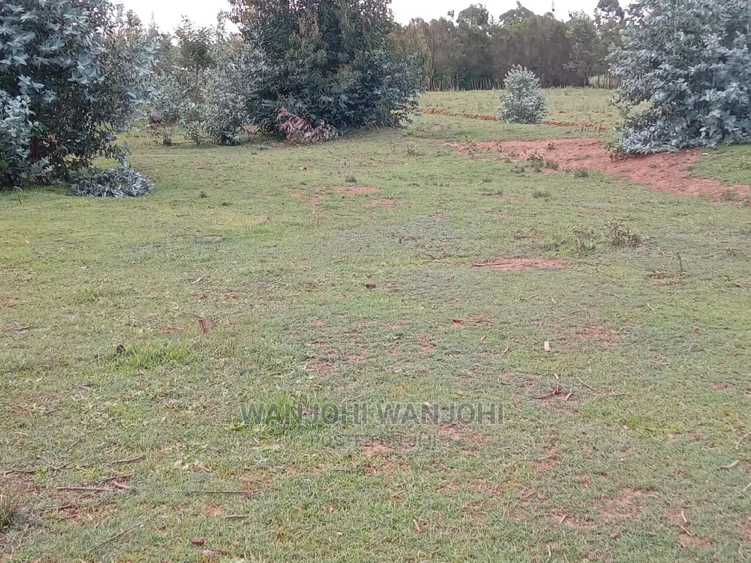 50x100 Plots in Serene Prime: High Demand, Limited Supply in Central Ndaragwa