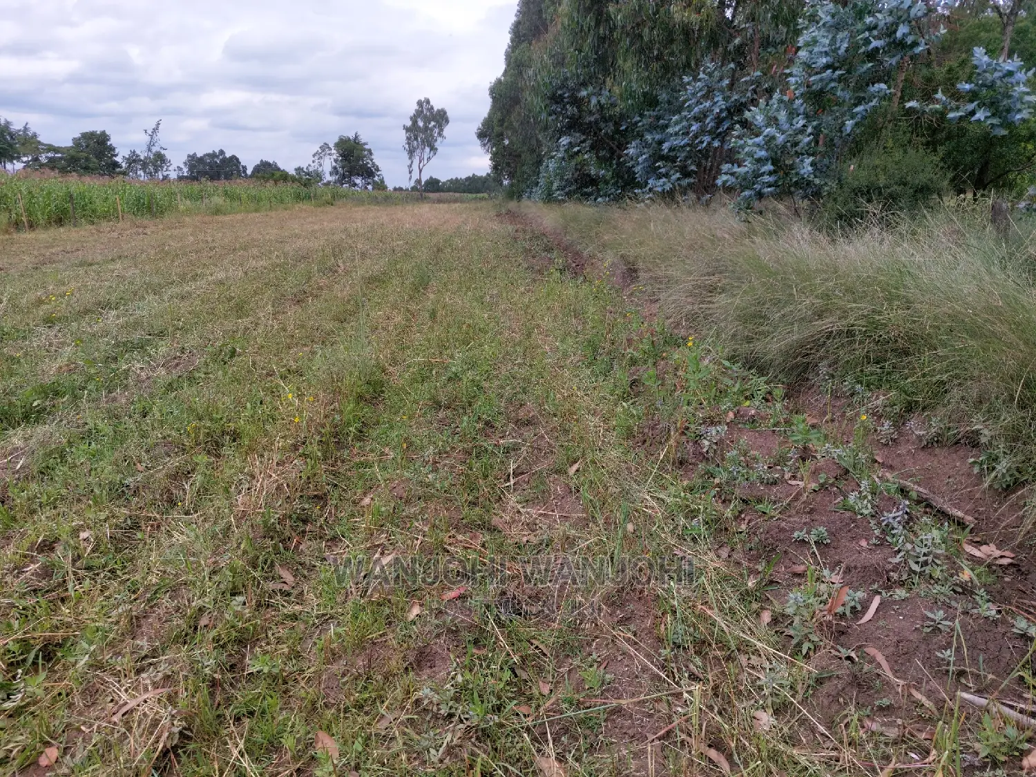 Premium 1-Acre Plots in Olkalou - Ready for Development in Karau