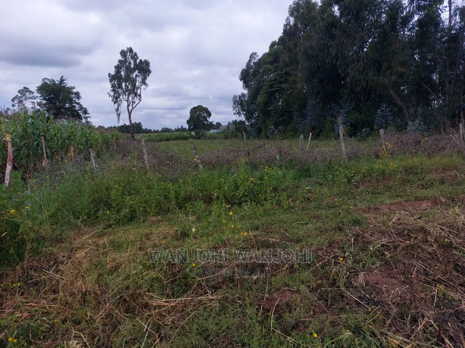 Prime 1-Acre Plots - Affordable & Ideal for Your Dream Home in Nyahururu