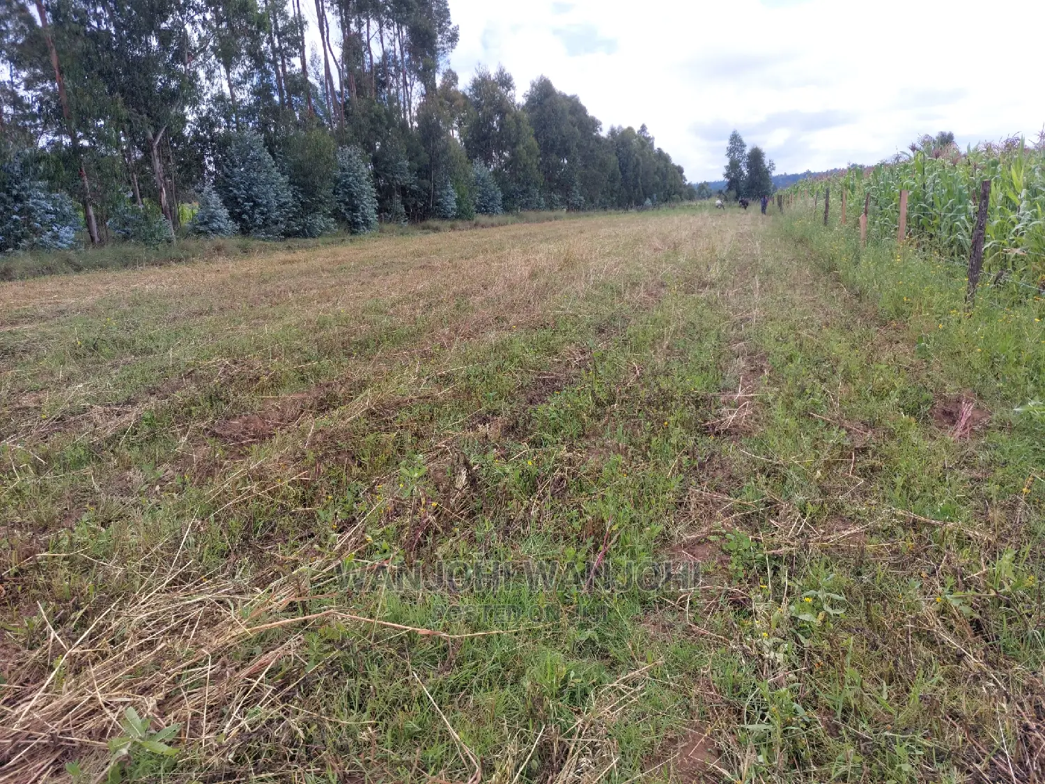 Olkalou's Finest 1-Acre Plots - Seize the Opportunity! in Nakuru Town East