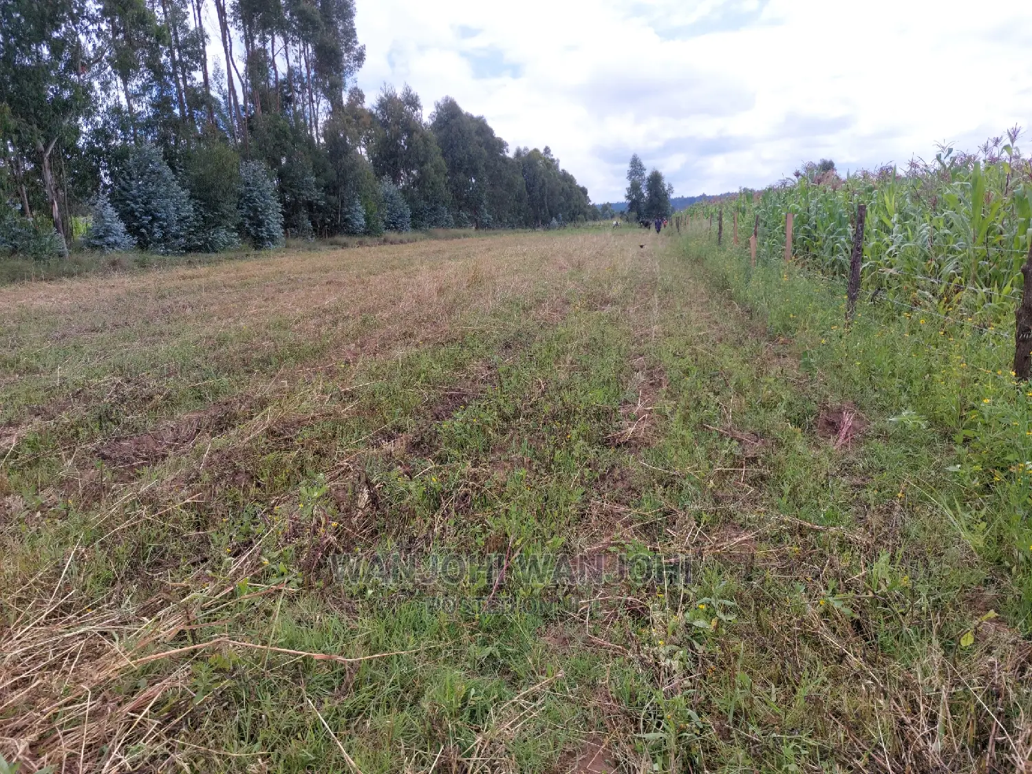 Olkalou's Finest 1-Acre Plots - Seize the Opportunity! in Nakuru Town East