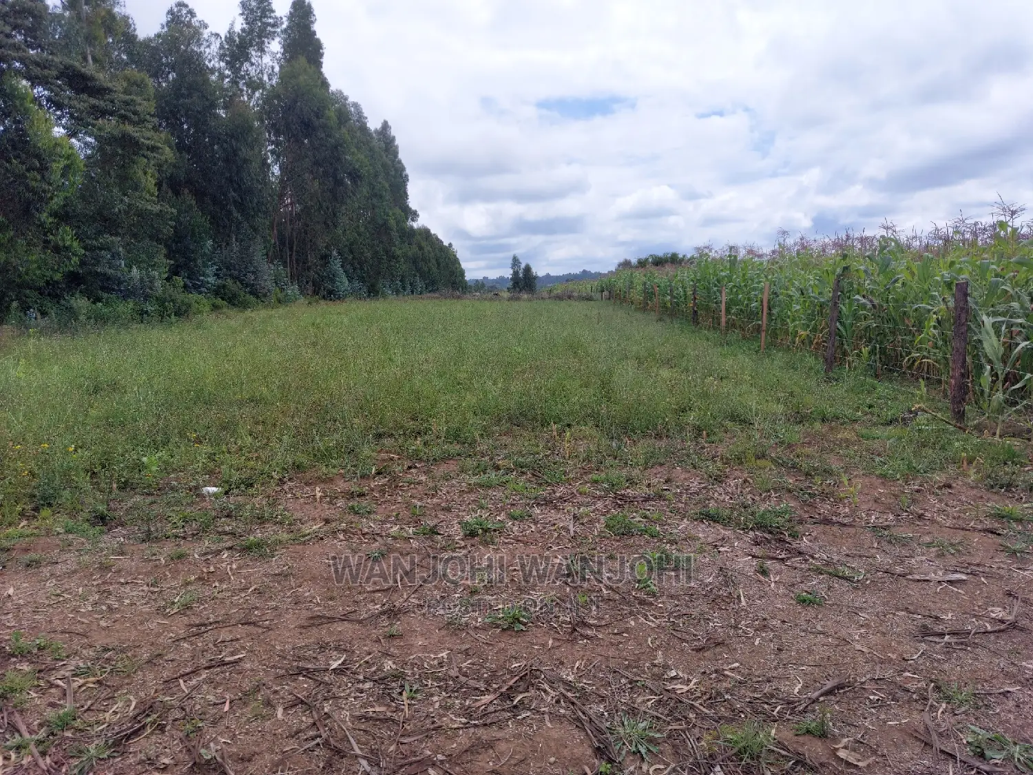 Serene 1-Acre Plots: Prime Real Estate Opportunity in Karau