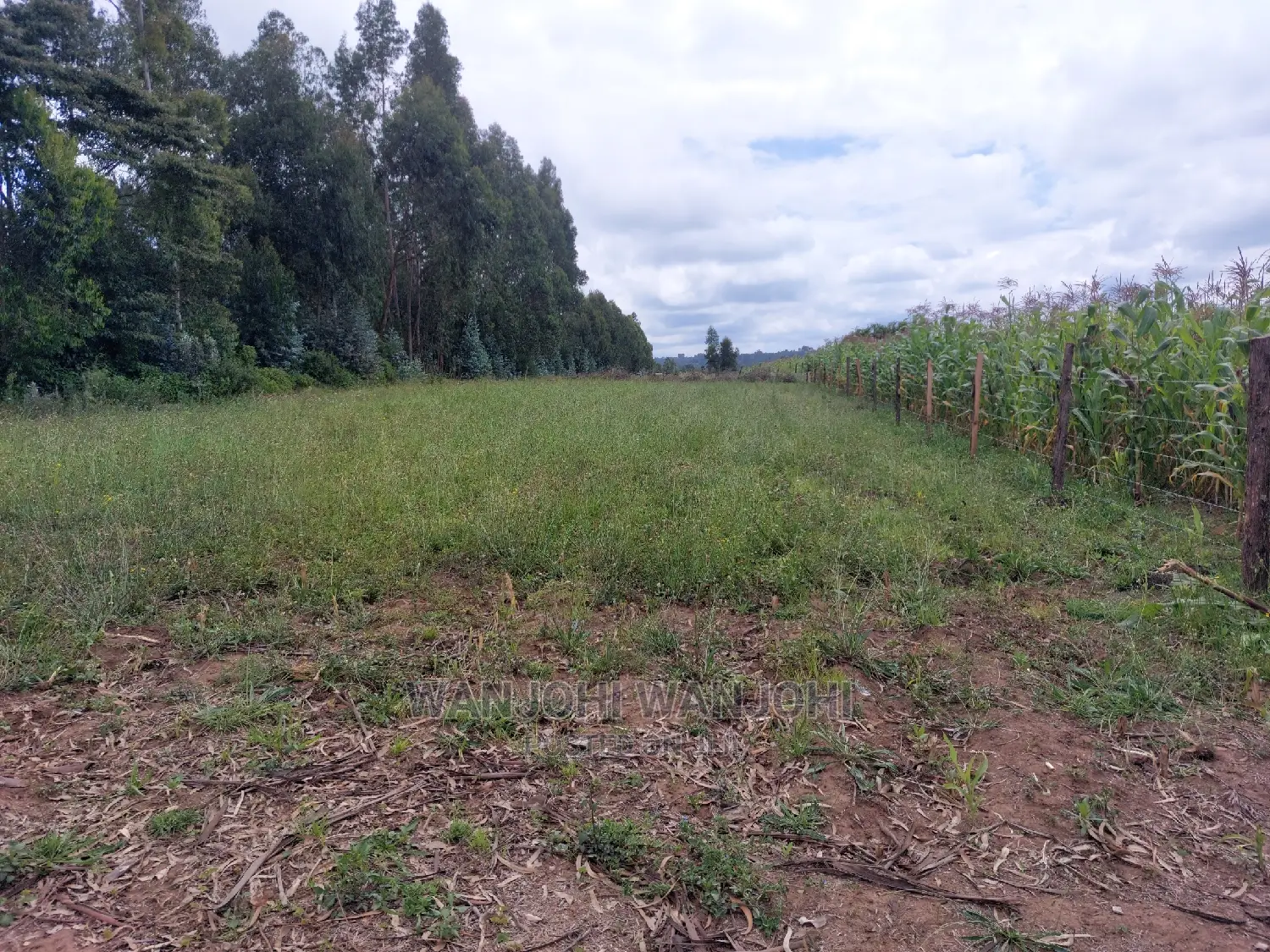 Serene 1-Acre Plots: Prime Real Estate Opportunity in Karau