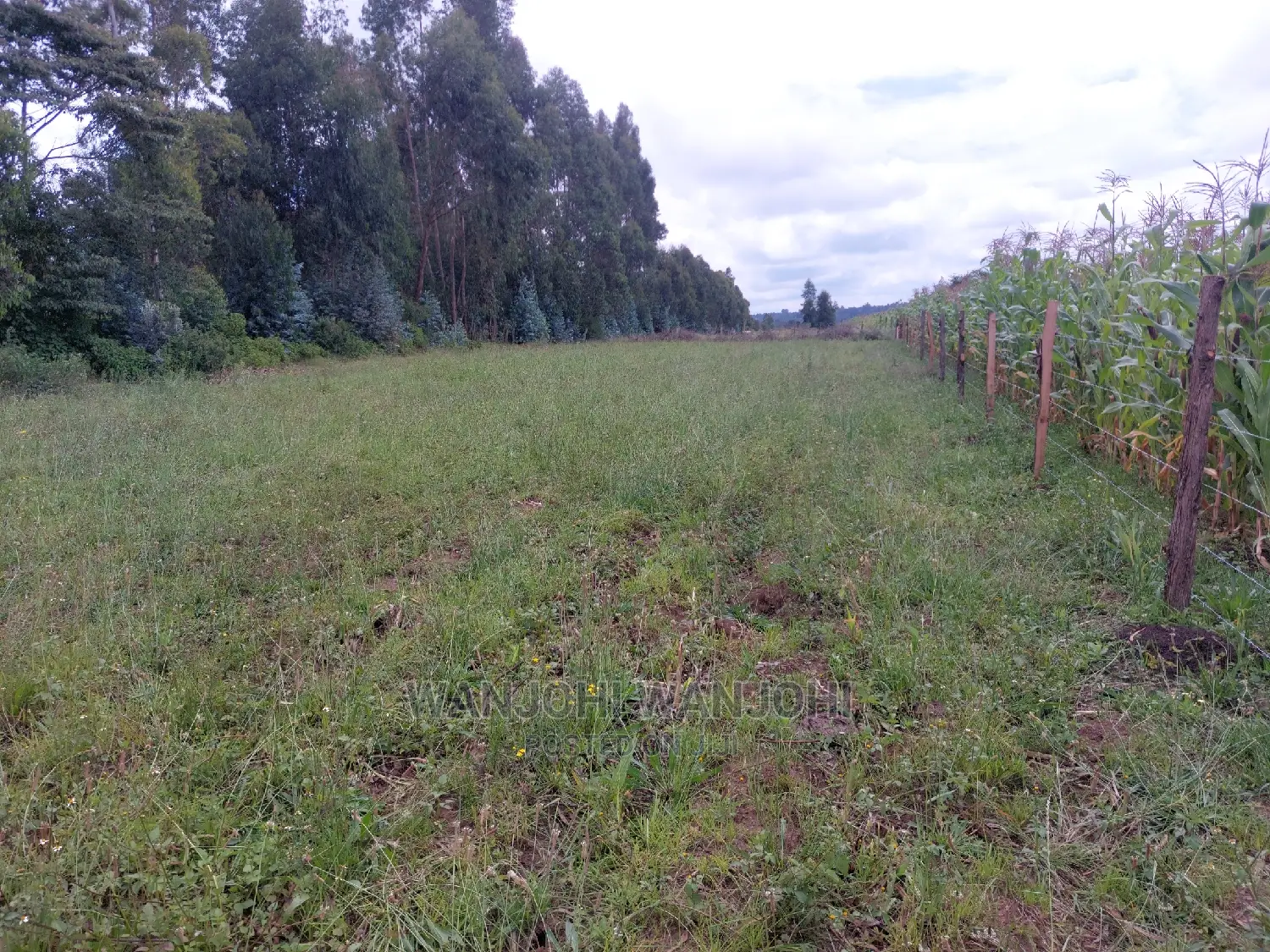 Serene 1-Acre Plots: Prime Real Estate Opportunity in Karau