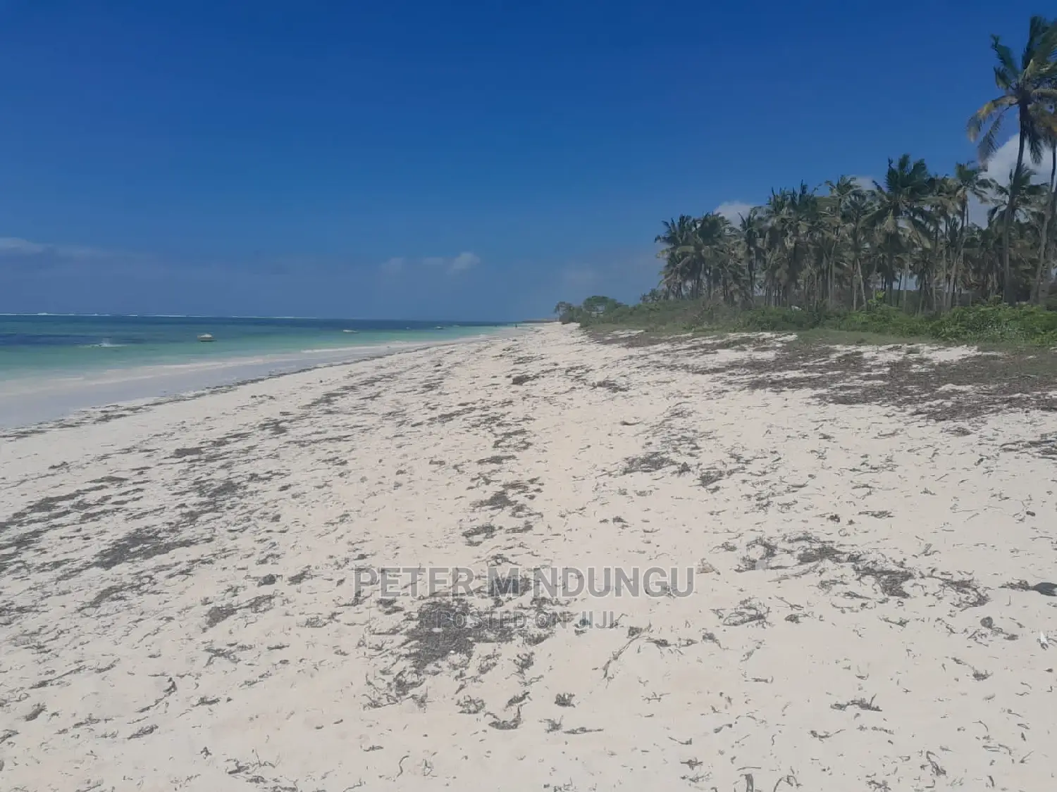 North Coast Beach Land Investment Opportunity in Nyali